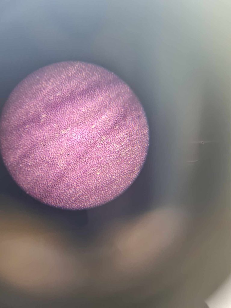 Įdomioji laboratorija – akimirka